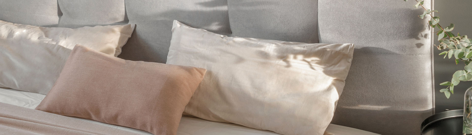 Kissen liegen auf einem Bett, Sonnenlicht beleuchtet die Szene, Pflanze daneben.