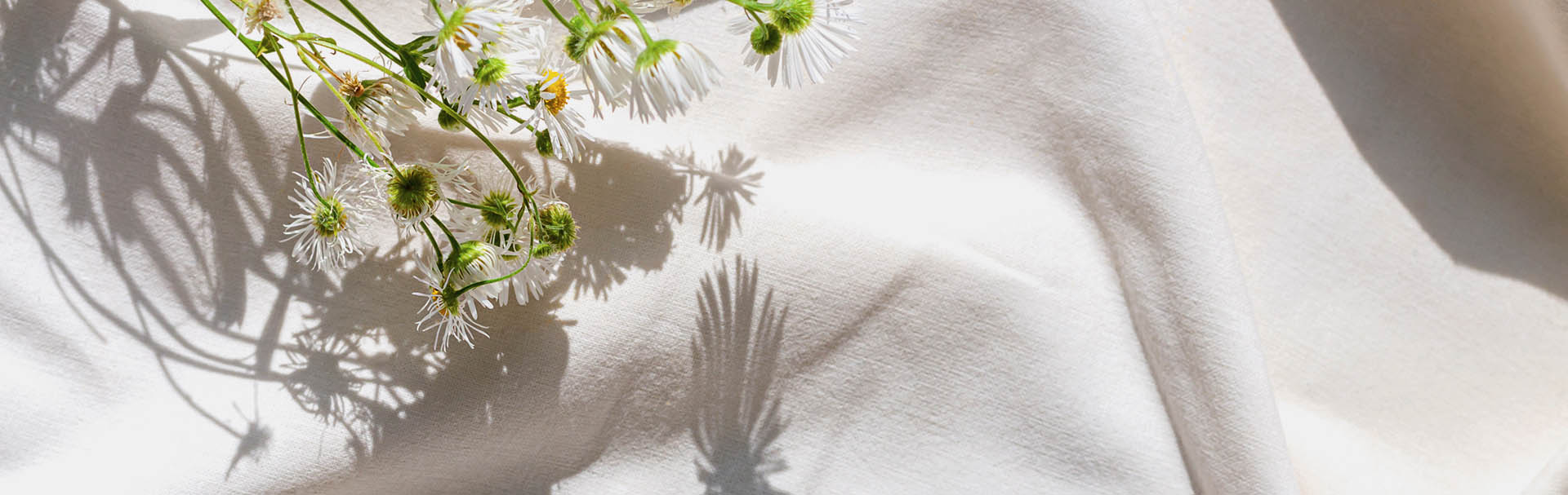 Blumen werfen Schatten auf weißen Stoff in hellem Sonnenlicht.